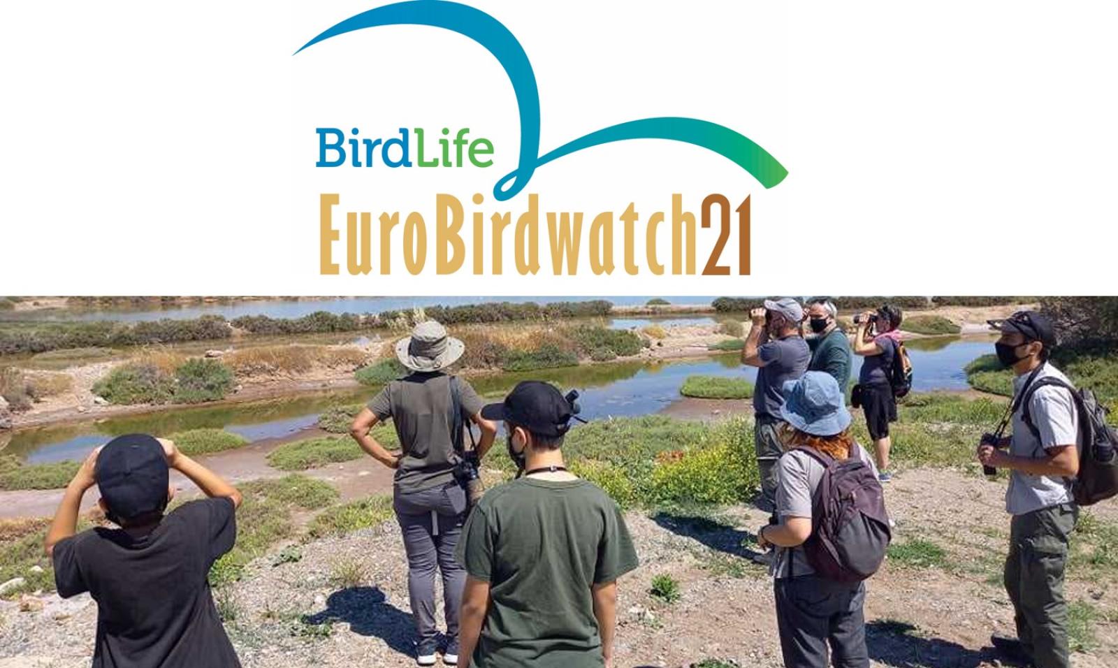 Eurobirdwatch 2021