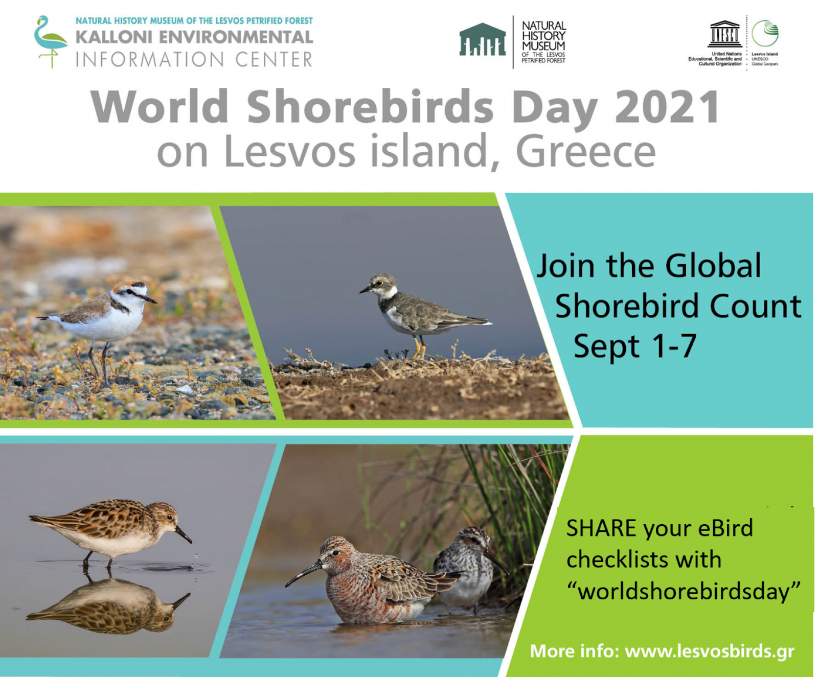 Global Shorebirds Count 2021 CORRECT