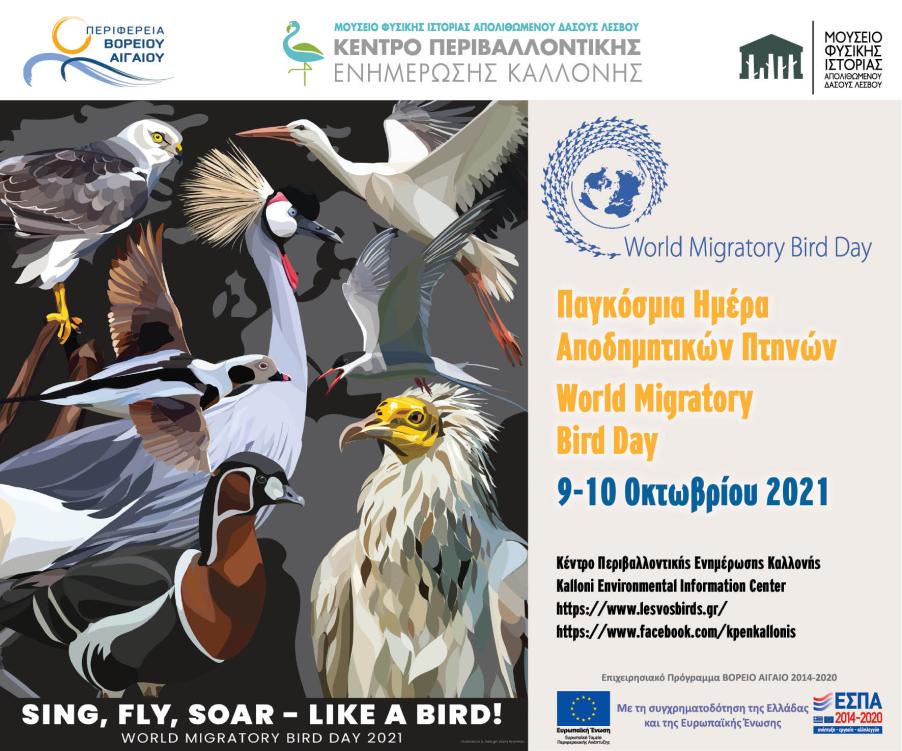 poster_World Migratory Bird Day 2021