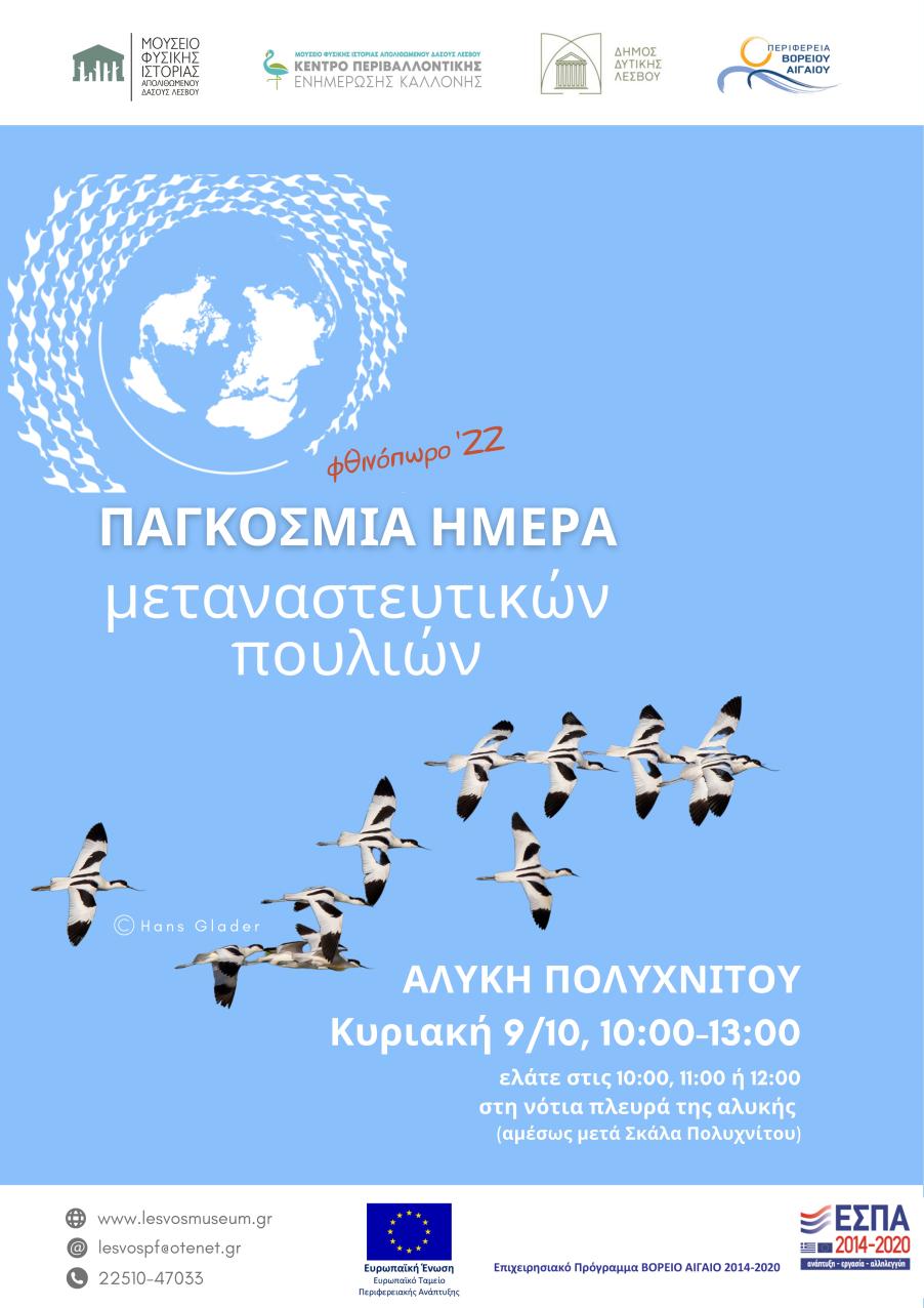 Πολυχνίτος αφίσσα παγκόσμια ημέρα μεταναστευτικών πουλιών 2022 φθινόπωρο